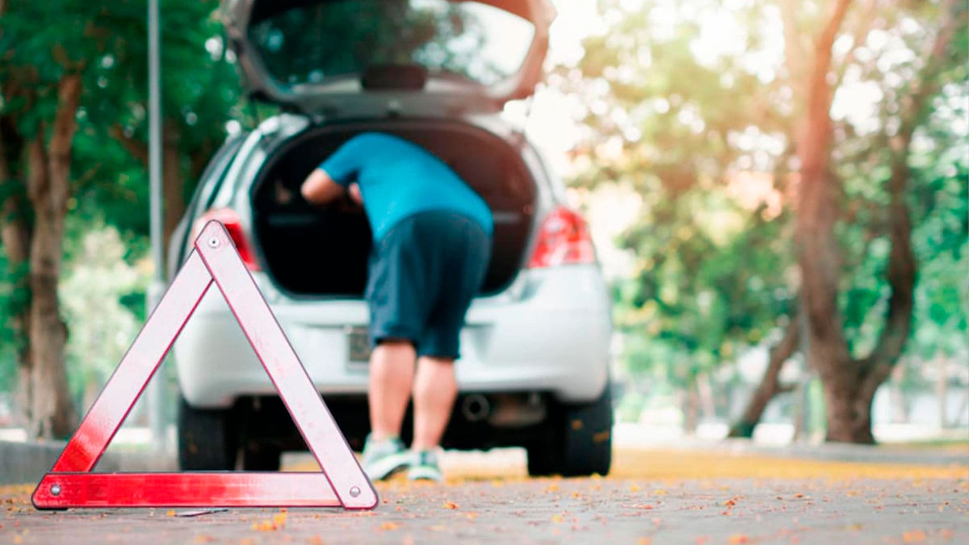 Averías de coches más comunes.