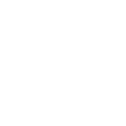 Logo de SeulMotor, compromiso y confianza en vehículos de ocasión