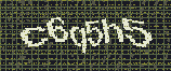 CAPTCHA_picture